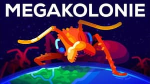 Episodio 15