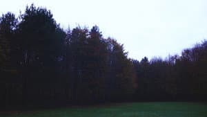 La Voie — foto 2