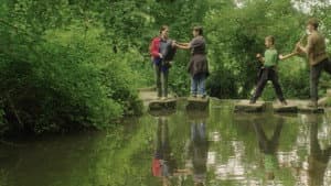 Pond Life — foto 4