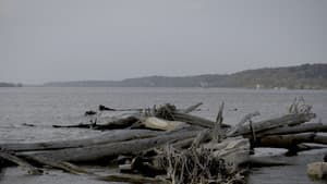 Smallpox Island — foto 1