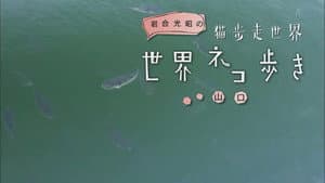 Episodio 20