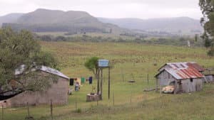 Tejedoras — foto 1