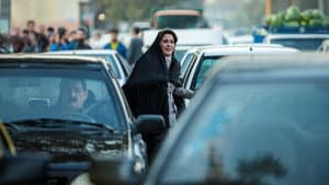 شنای پروانه — foto 1