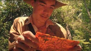 Wisconsin Johnson and the Lucky Bone — foto 3