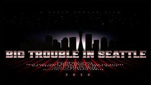 Big Trouble in Seattle — foto 1
