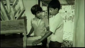 හඳයා — foto 1