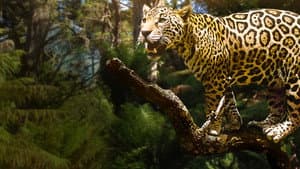 El Jaguar del Amazonas — foto 2