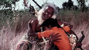 കുമ്മാട്ടി — foto 1
