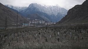Хамса — foto 2