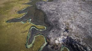 Okavango: El Alma Africana — foto 12
