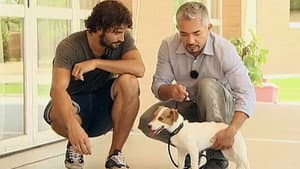 Episodio 4
