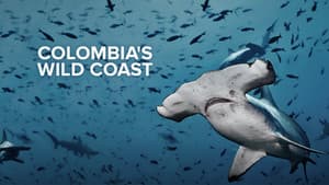 Colombia's Wild Coast — foto 2