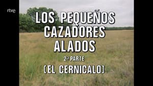 Episodio 68