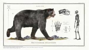Big Beasts: Last of the Giants — foto 4