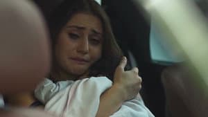 Çarəsiz — foto 1