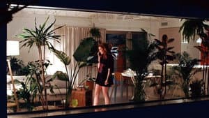 Monstera — foto 1