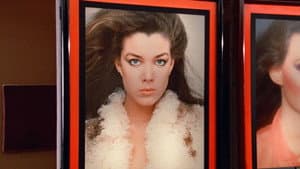 Calendar Girl Murders — foto 3