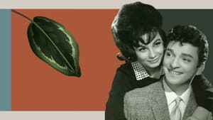 Kırık Plak — foto 2