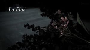 La Flor — foto 6
