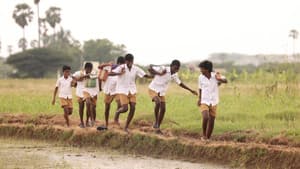 வாழை — foto 7