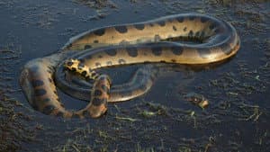 Anaconda: Queen of the Serpents — foto 1