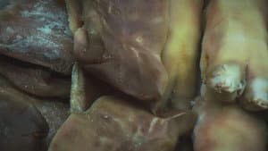 SUPERCERDOS — foto 2