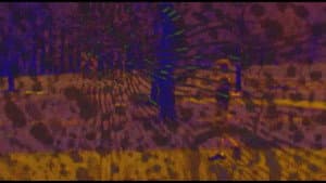 Joose Psychedelia Test — foto 5