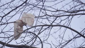 Won't You Be My Neighbor...? — foto 4