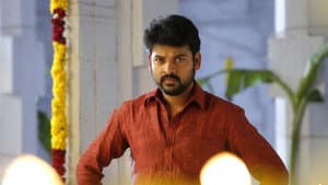 கன்னி ராசி — foto 2