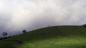 கடைசீல பிரியாணி — foto 3
