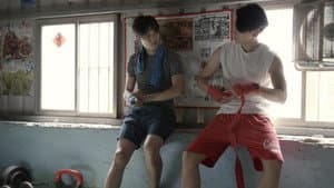 拳擊 — foto 3