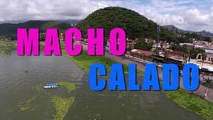 Macho calado — foto 1