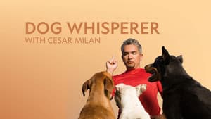 César Millan — foto 2