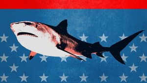 Shark Week 30 Años — foto 10