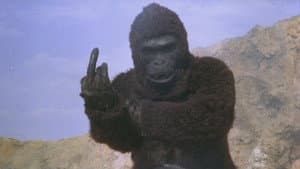Ape — foto 3