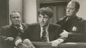 Midnight Court — foto 2