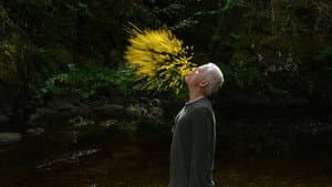 Leaning Into the Wind: Andy Goldsworthy — foto 7