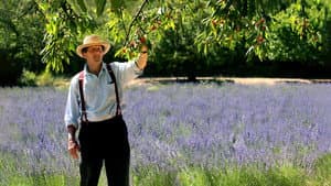 Los jardines franceses de Monty Don — foto 2