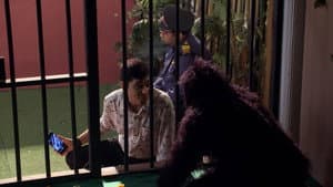 Episodio 1182