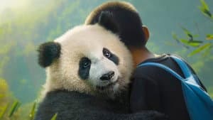 Moon, mi amigo panda — foto 2