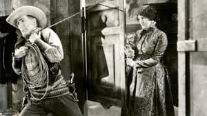 Tumbleweeds — foto 1