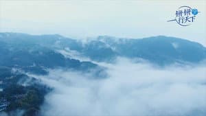锵锵行天下 — foto 3