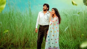 షష్టిపూర్తి — foto 8
