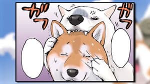Episodio 9