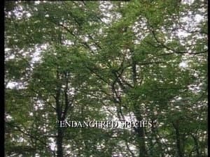 Episodio 10