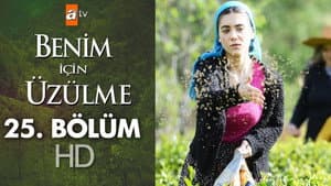 Episodio 25
