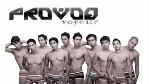 Provoq Voyeur — foto 1