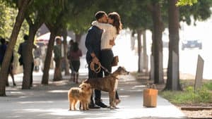 Dia De Perros — foto 2