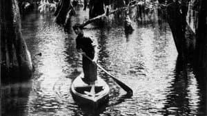 Louisiana Story — foto 2