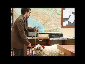 Episodio 51